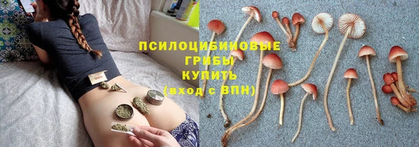 сатива Алзамай